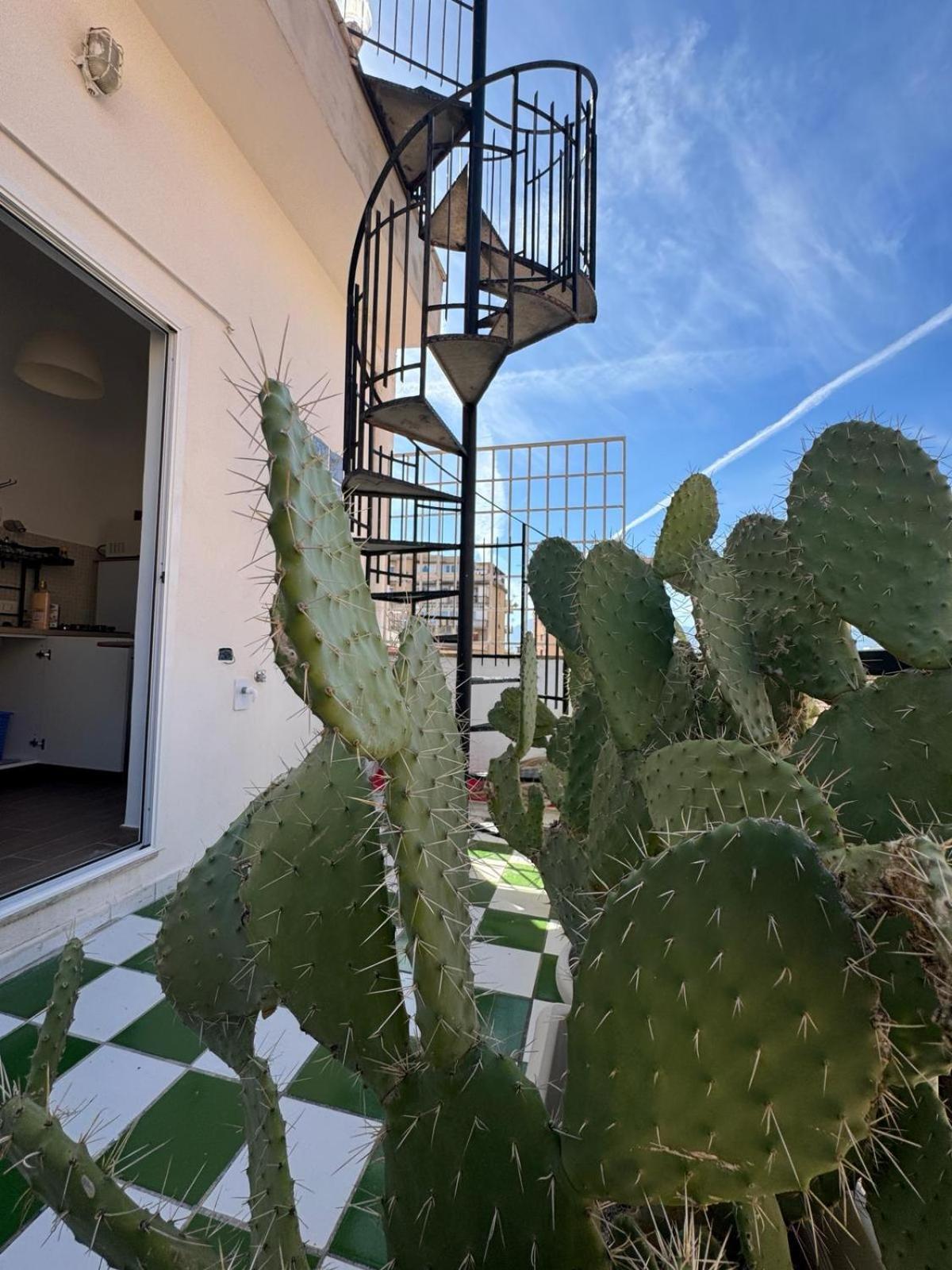Casa Bianca Vacanze Lägenhet Palermo Exteriör bild